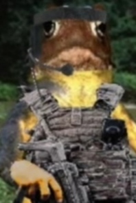 Avatar de Usuario
