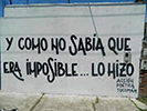 Avatar de Usuario